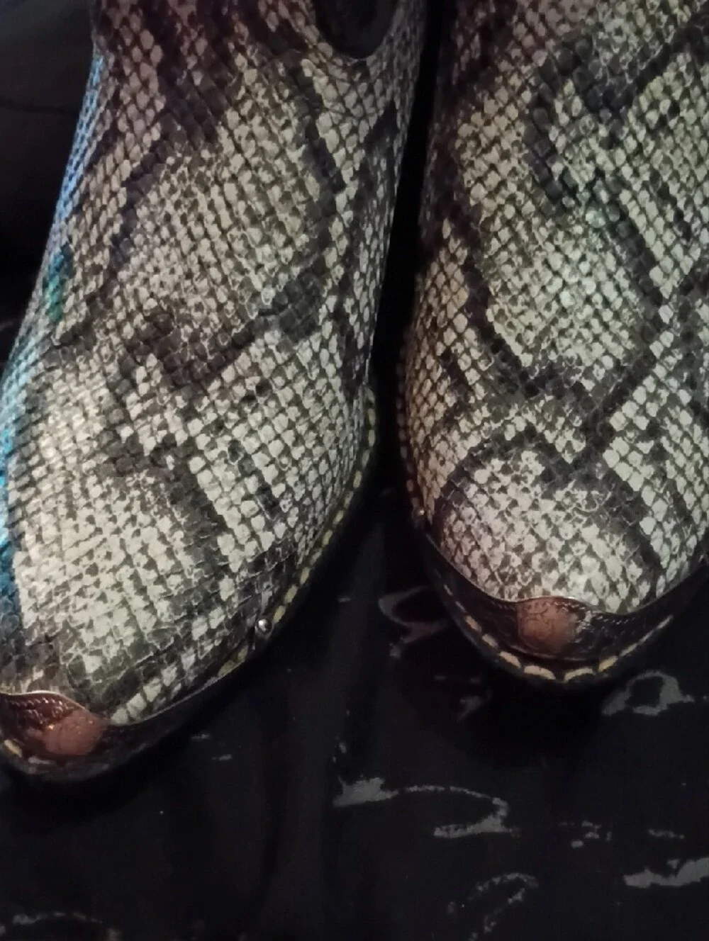 Boys Snake-Print Western Boots - Black and Cream And Hunter Green